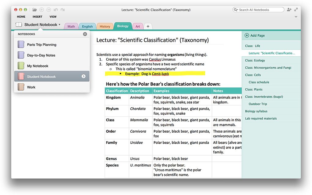 evernote or onenote for mac